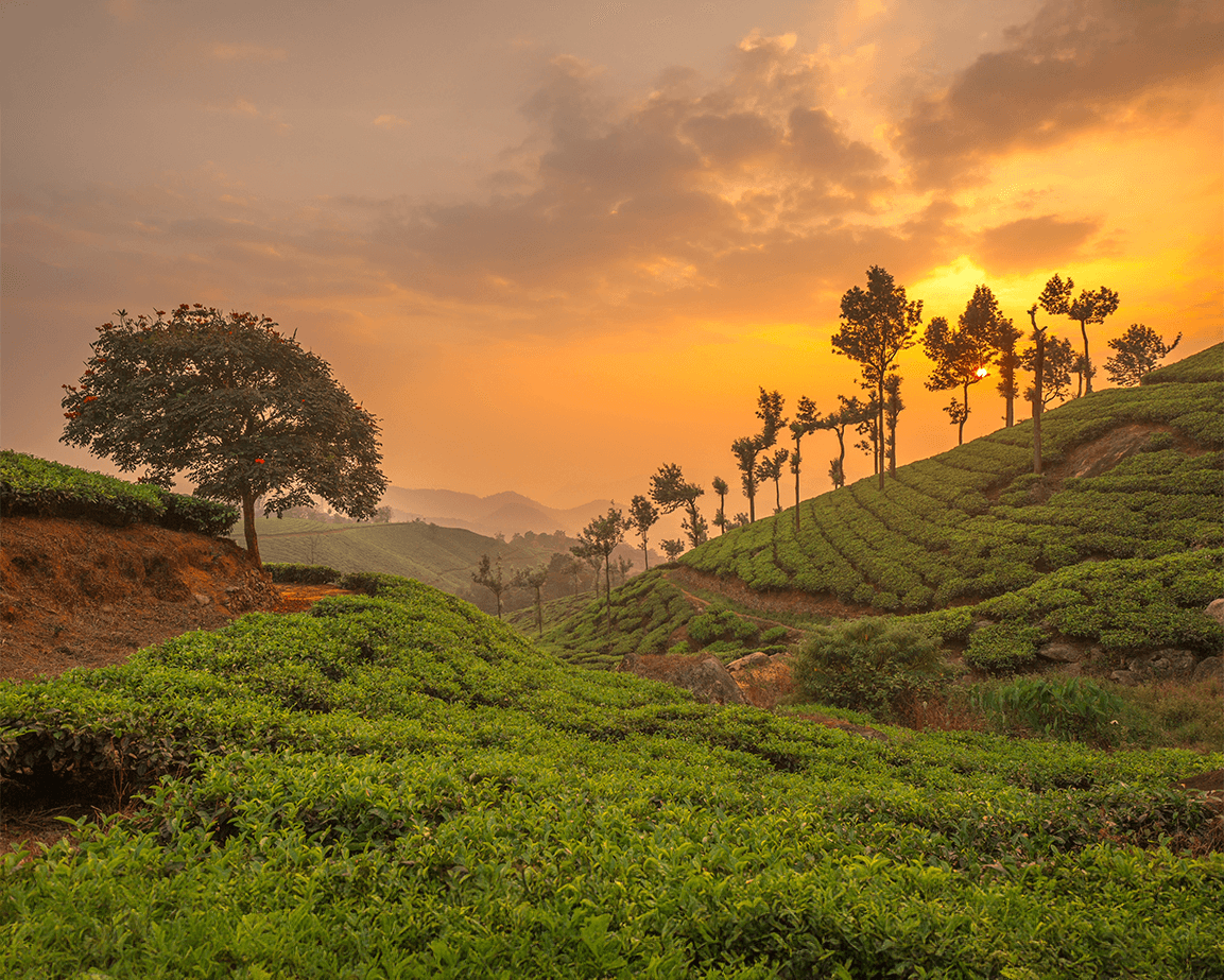 munnar tour itinerary