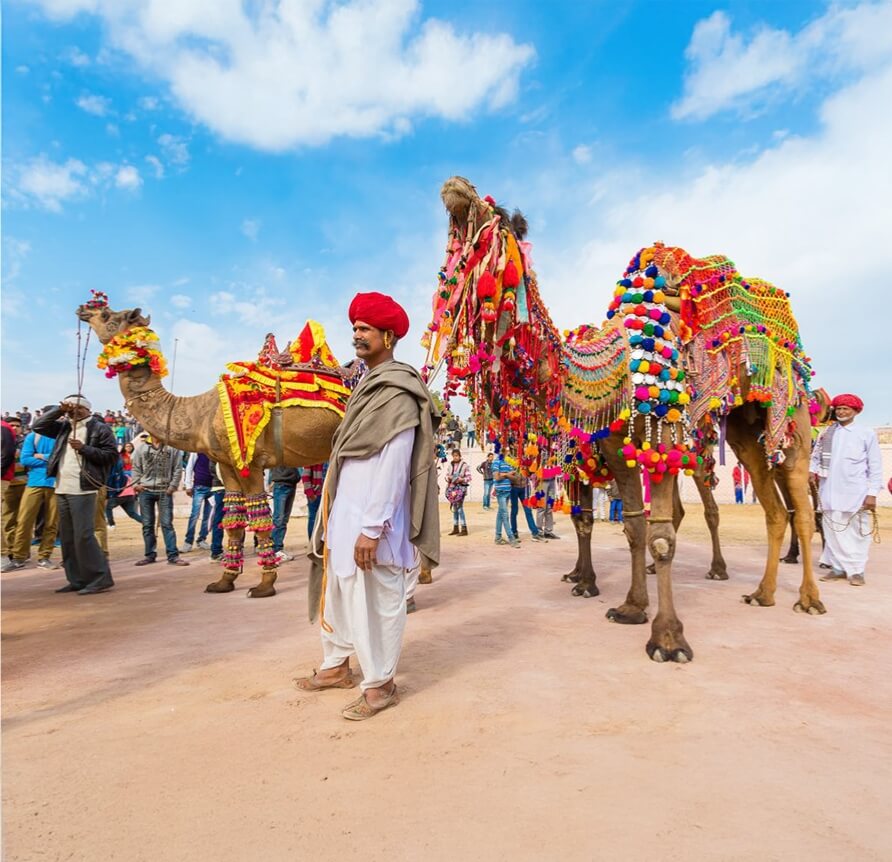 pushkar camel fair festival celebrations