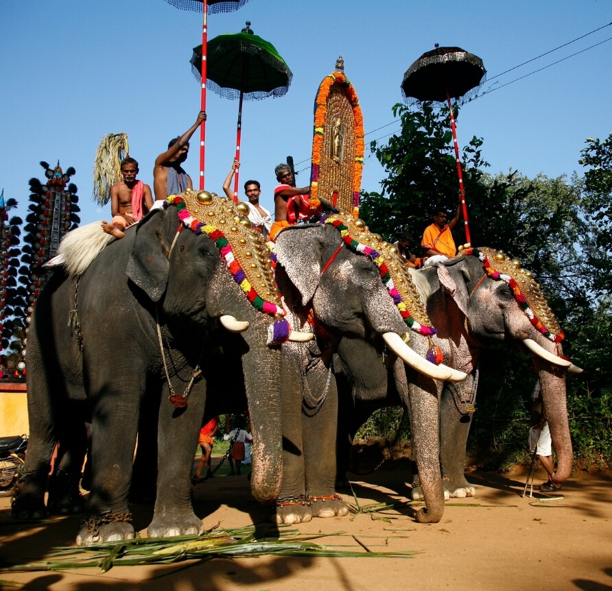thrissur pooram festival celebrations
