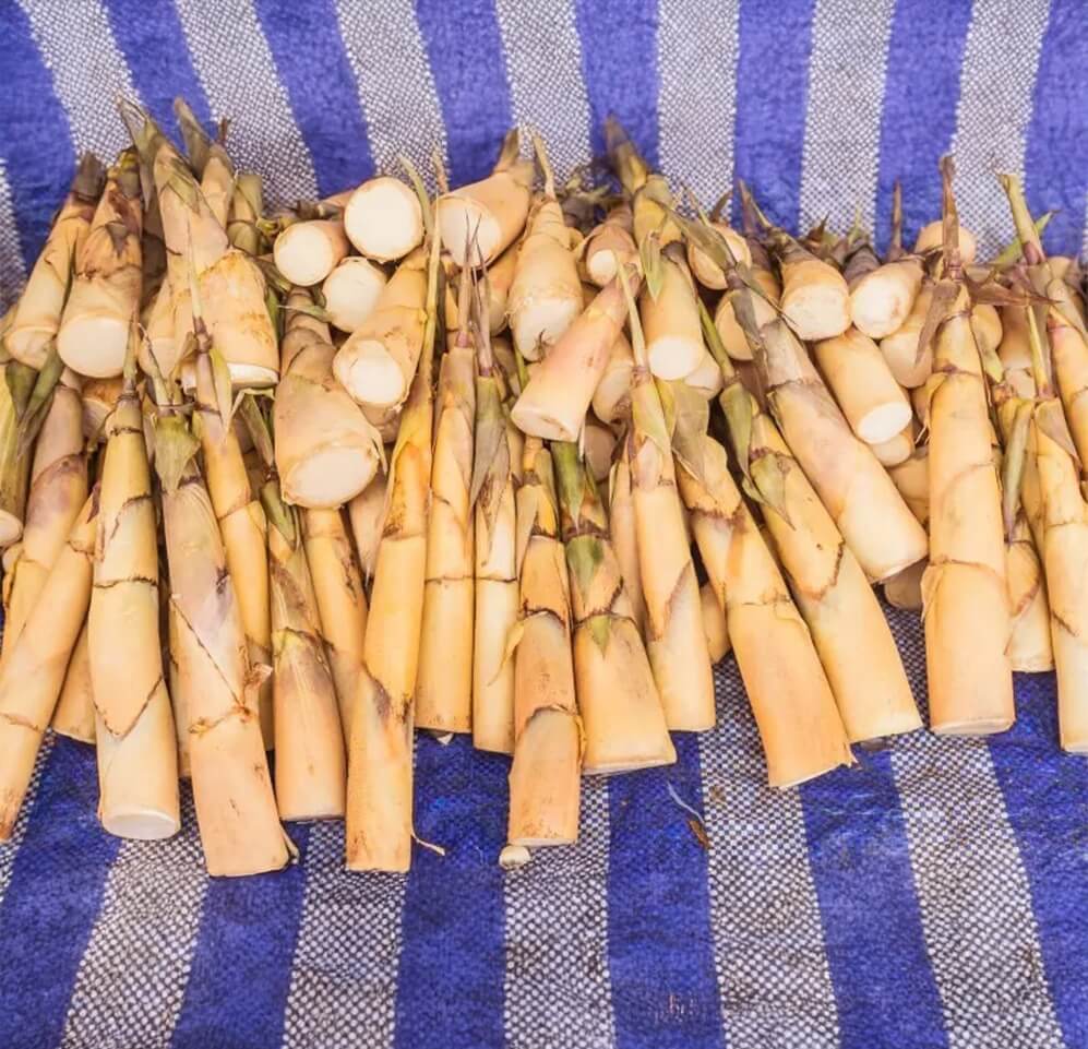 northeast india culinary traditions