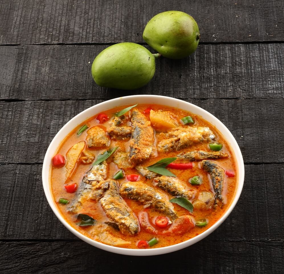 south india culinary traditions