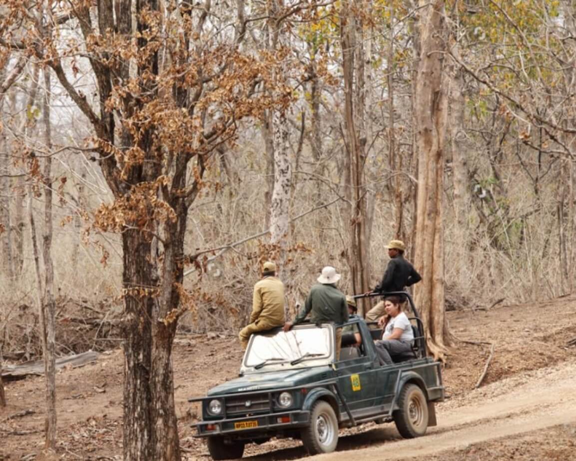 pench wildlife trails itinerary